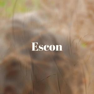 Escon