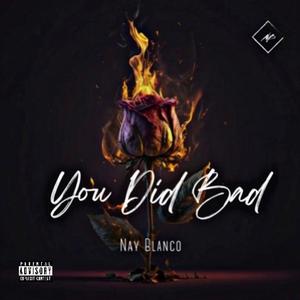 You Did Bad (Explicit)