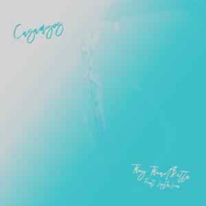 Casamigos (feat. LostInLeon) (Explicit)