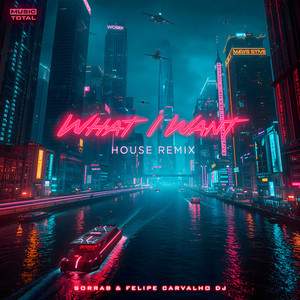 What I Want (House Remix)