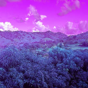 Terrified (feat. Gwi) (Explicit)