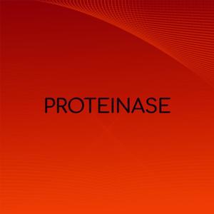 Proteinase