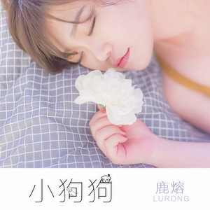 小狗狗