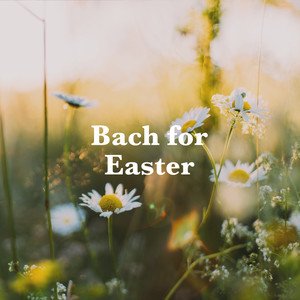 Concerto for Harpsichord, 2 Recorders, Strings, and Continuo No. 6 in F, BWV 1057 - J.S. Bach: Concerto for Harpsichord, 2 Recorders, Strings, and Continuo No. 6 in F, BWV 1057 - 1. --