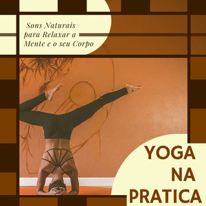 Yoga na Pratica - Música Instrumental de Flauta para Meditar e Fazer Yoga, Sons Naturais para Relaxar a Mente e o seu Corpo