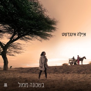 בשכונה ממול