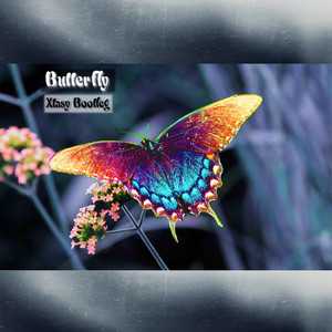butterfly - qq音乐-千万正版音乐海量无损曲库新歌热歌天天畅听的高