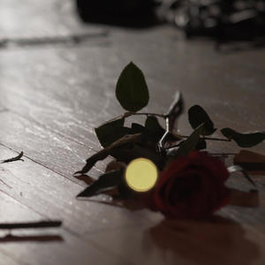 The Lord of the Rings