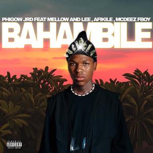 BAHAMBILE (feat. Mellow And Lee, Afikile & Mcdeez Fboy)