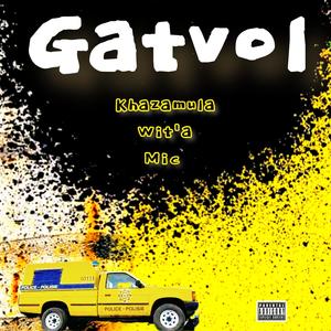 Gatvol (feat. Kritikal Life) (Explicit)