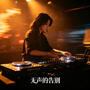 无声的告别封面