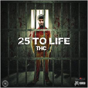 25 To Life (Explicit)