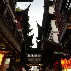 风帘动
