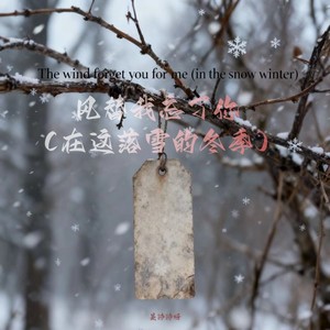 风替我忘了你(在这落雪的冬季)