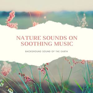 Nature Sounds on Soothing Music: Background Sound of the Earth & New Age