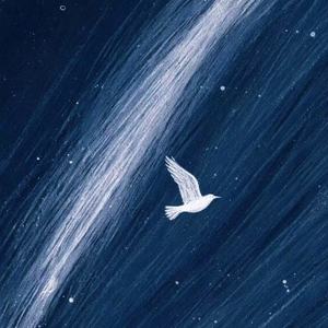 Stan (雨夜版)封面