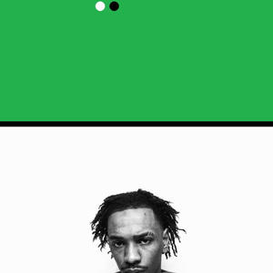 Are you dumb (Explicit)