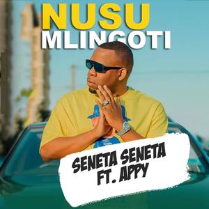 Nusu Mlingoti