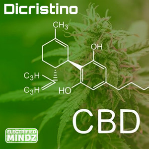 Birthday (Bklyn Hybrid Techno Mix)