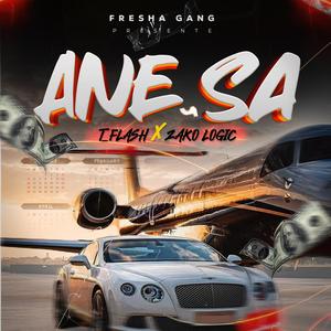 Ane Sa (feat. T-Flash & Zako Logic)