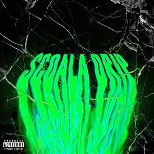 Ysl 2 (feat. Razvi) (Explicit)