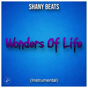 Shany Beats (Wonders Of Life)