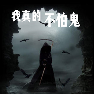 第367章 章 山村里哭声 (DJ长音频)封面
