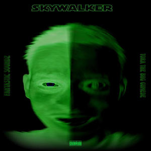 Skywalker (feat. Fantastic Soundz) (Explicit)