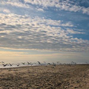 TTD (feat. Slizzle) (Explicit)