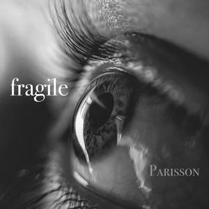 Fragile (feat. Janet Tabaka)