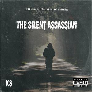 The Silent Assassin (Explicit)