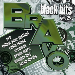 Bravo Black Hits Vol.29