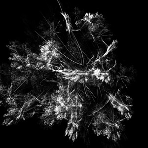 lost my mind sometime last year