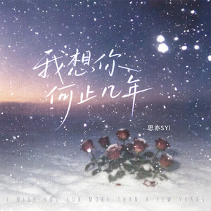 我想你何止几年 (伴奏)
