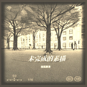 未完成的素描封面