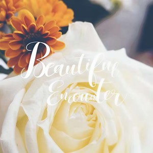 月亮的遗忘 (Inst.)