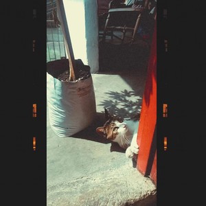 La Última Hora del Sol (Explicit)