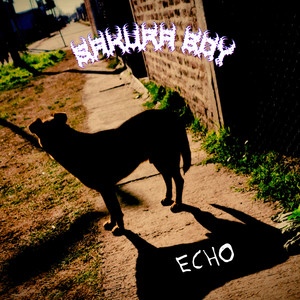 ECHO