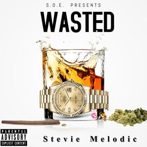 Wasted (Explicit)