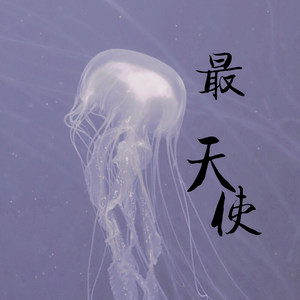 最天使 (抖音原版)