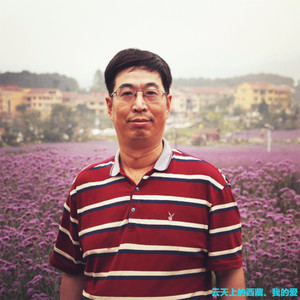 云天上的西藏、我的爱