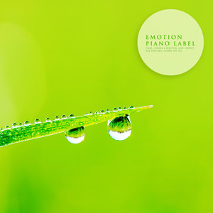 꽃을 들고 서 있는 너 (You Are Standing With Flowers)