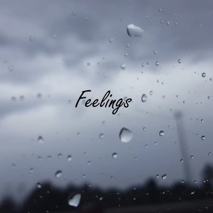 Feelings