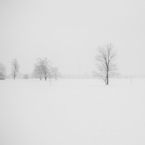 Christmas Time - We Wish You a Merry Christmas