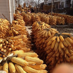 走在中国梦的路上