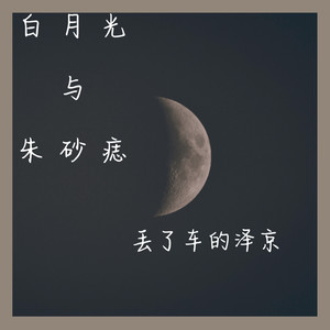 白月光与朱砂痣