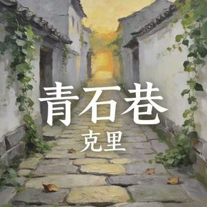 青石巷封面