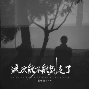 这次能不能别走了