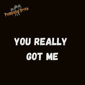 You Really Got Me