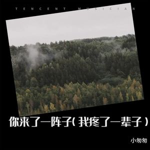 你来了一阵子我疼了一辈子